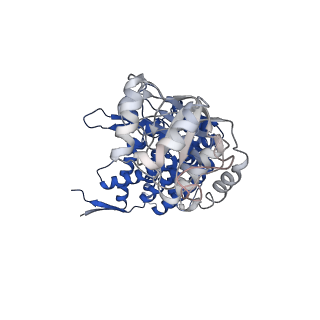 37862_8wuw_N_v1-0
Cryo-EM structure of H. thermophilus GroEL-GroES2 asymmetric football complex