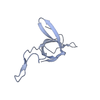 37862_8wuw_c_v1-0
Cryo-EM structure of H. thermophilus GroEL-GroES2 asymmetric football complex