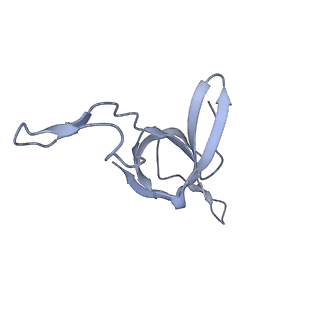 37862_8wuw_d_v1-0
Cryo-EM structure of H. thermophilus GroEL-GroES2 asymmetric football complex