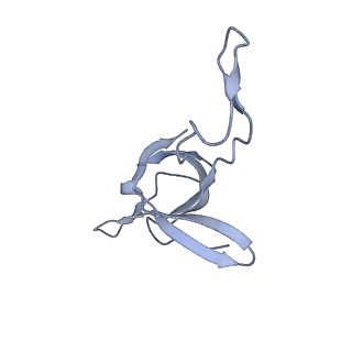 37862_8wuw_f_v1-0
Cryo-EM structure of H. thermophilus GroEL-GroES2 asymmetric football complex