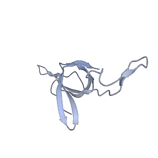 37862_8wuw_g_v1-0
Cryo-EM structure of H. thermophilus GroEL-GroES2 asymmetric football complex