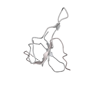 37862_8wuw_j_v1-0
Cryo-EM structure of H. thermophilus GroEL-GroES2 asymmetric football complex