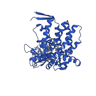 37863_8wux_A_v1-0
Cryo-EM structure of H. thermophilus GroEL-GroES bullet complex