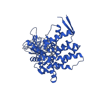 37863_8wux_B_v1-0
Cryo-EM structure of H. thermophilus GroEL-GroES bullet complex