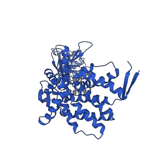 37863_8wux_C_v1-0
Cryo-EM structure of H. thermophilus GroEL-GroES bullet complex