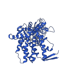 37863_8wux_D_v1-0
Cryo-EM structure of H. thermophilus GroEL-GroES bullet complex