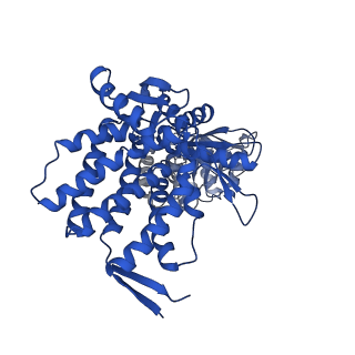 37863_8wux_E_v1-0
Cryo-EM structure of H. thermophilus GroEL-GroES bullet complex