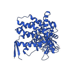 37863_8wux_F_v1-0
Cryo-EM structure of H. thermophilus GroEL-GroES bullet complex