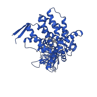 37863_8wux_G_v1-0
Cryo-EM structure of H. thermophilus GroEL-GroES bullet complex