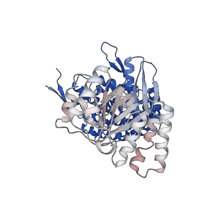 37863_8wux_H_v1-0
Cryo-EM structure of H. thermophilus GroEL-GroES bullet complex