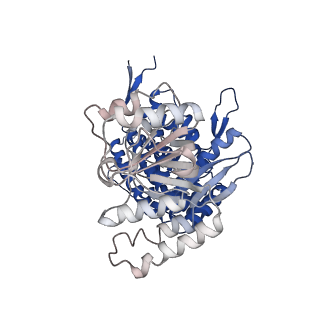 37863_8wux_I_v1-0
Cryo-EM structure of H. thermophilus GroEL-GroES bullet complex