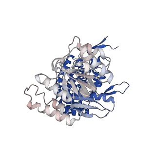 37863_8wux_J_v1-0
Cryo-EM structure of H. thermophilus GroEL-GroES bullet complex