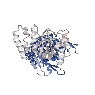 37863_8wux_K_v1-0
Cryo-EM structure of H. thermophilus GroEL-GroES bullet complex