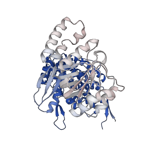 37863_8wux_L_v1-0
Cryo-EM structure of H. thermophilus GroEL-GroES bullet complex
