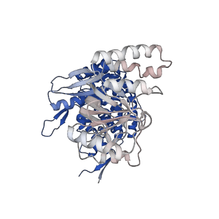 37863_8wux_M_v1-0
Cryo-EM structure of H. thermophilus GroEL-GroES bullet complex