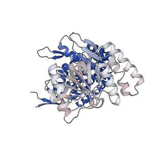 37863_8wux_N_v1-0
Cryo-EM structure of H. thermophilus GroEL-GroES bullet complex