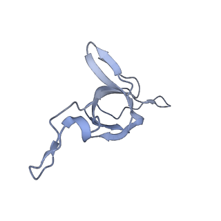 37863_8wux_c_v1-0
Cryo-EM structure of H. thermophilus GroEL-GroES bullet complex