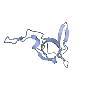 37863_8wux_d_v1-0
Cryo-EM structure of H. thermophilus GroEL-GroES bullet complex