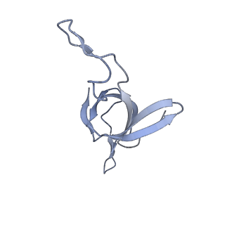 37863_8wux_e_v1-0
Cryo-EM structure of H. thermophilus GroEL-GroES bullet complex