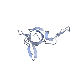 37863_8wux_g_v1-0
Cryo-EM structure of H. thermophilus GroEL-GroES bullet complex