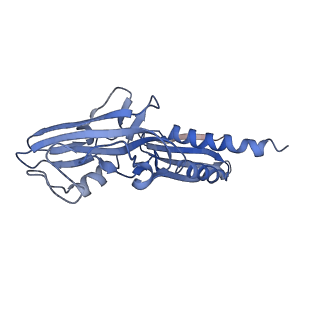 21920_6wvj_A_v1-2
Cryo-EM structure of Bacillus subtilis RNA Polymerase elongation complex