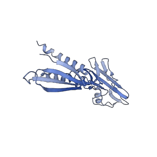 21920_6wvj_B_v1-2
Cryo-EM structure of Bacillus subtilis RNA Polymerase elongation complex
