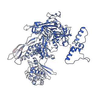 21920_6wvj_C_v1-2
Cryo-EM structure of Bacillus subtilis RNA Polymerase elongation complex