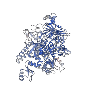 21920_6wvj_D_v1-2
Cryo-EM structure of Bacillus subtilis RNA Polymerase elongation complex