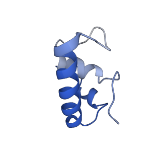 21920_6wvj_F_v1-2
Cryo-EM structure of Bacillus subtilis RNA Polymerase elongation complex