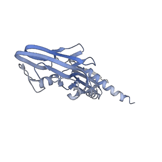 21921_6wvk_A_v1-2
Cryo-EM structure of Bacillus subtilis RNA Polymerase in complex with HelD