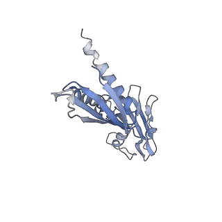 21921_6wvk_B_v1-2
Cryo-EM structure of Bacillus subtilis RNA Polymerase in complex with HelD