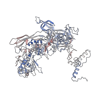 21921_6wvk_C_v1-2
Cryo-EM structure of Bacillus subtilis RNA Polymerase in complex with HelD