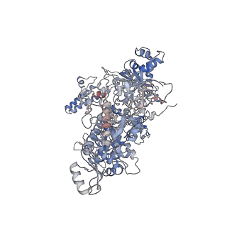 21921_6wvk_D_v1-2
Cryo-EM structure of Bacillus subtilis RNA Polymerase in complex with HelD