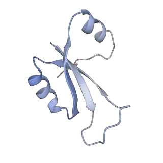 21921_6wvk_E_v1-2
Cryo-EM structure of Bacillus subtilis RNA Polymerase in complex with HelD