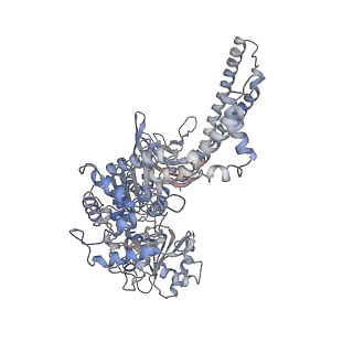 21921_6wvk_H_v1-2
Cryo-EM structure of Bacillus subtilis RNA Polymerase in complex with HelD