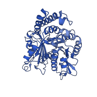21924_6wvr_A_v1-3
Tubulin dimers from a 13-protofilament, Taxol stabilized microtubule