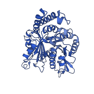 21924_6wvr_A_v1-4
Tubulin dimers from a 13-protofilament, Taxol stabilized microtubule