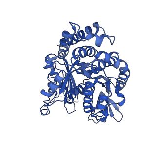 21924_6wvr_B_v1-3
Tubulin dimers from a 13-protofilament, Taxol stabilized microtubule