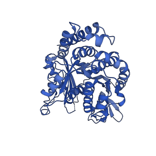 21924_6wvr_B_v1-4
Tubulin dimers from a 13-protofilament, Taxol stabilized microtubule