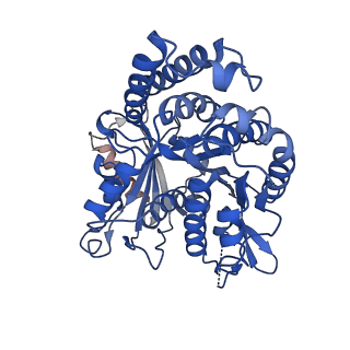 21924_6wvr_C_v1-4
Tubulin dimers from a 13-protofilament, Taxol stabilized microtubule