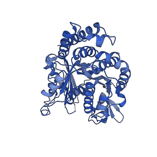 21924_6wvr_D_v1-4
Tubulin dimers from a 13-protofilament, Taxol stabilized microtubule