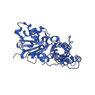 21925_6wvt_D_v1-0
Structural basis of alphaE-catenin - F-actin catch bond behavior
