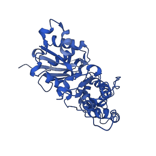 21925_6wvt_E_v1-0
Structural basis of alphaE-catenin - F-actin catch bond behavior