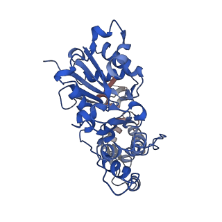 21925_6wvt_F_v1-0
Structural basis of alphaE-catenin - F-actin catch bond behavior