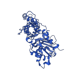 21925_6wvt_H_v1-0
Structural basis of alphaE-catenin - F-actin catch bond behavior
