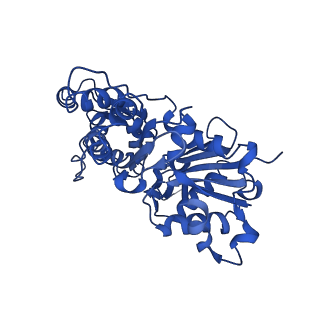 21925_6wvt_I_v1-0
Structural basis of alphaE-catenin - F-actin catch bond behavior