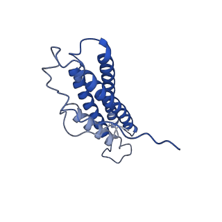 21925_6wvt_K_v1-0
Structural basis of alphaE-catenin - F-actin catch bond behavior