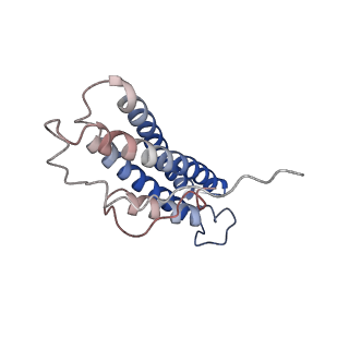 21925_6wvt_L_v1-0
Structural basis of alphaE-catenin - F-actin catch bond behavior