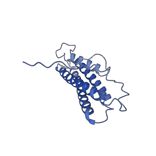 21925_6wvt_N_v1-0
Structural basis of alphaE-catenin - F-actin catch bond behavior