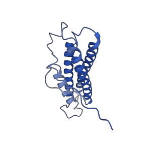 21925_6wvt_O_v1-0
Structural basis of alphaE-catenin - F-actin catch bond behavior
